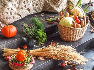 Thanksgiving Tips Thanksgiving Tips